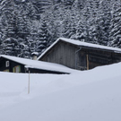 _DSC0408_10001.JPG