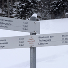 _DSC0501_10002_1.JPG