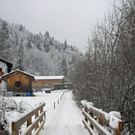 _DSC00010001_1.JPG