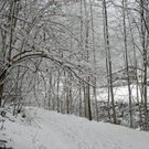 _DSC00460011_1.JPG