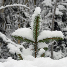 _DSC00600014.JPG
