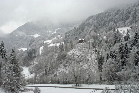 _DSC01680005.JPG