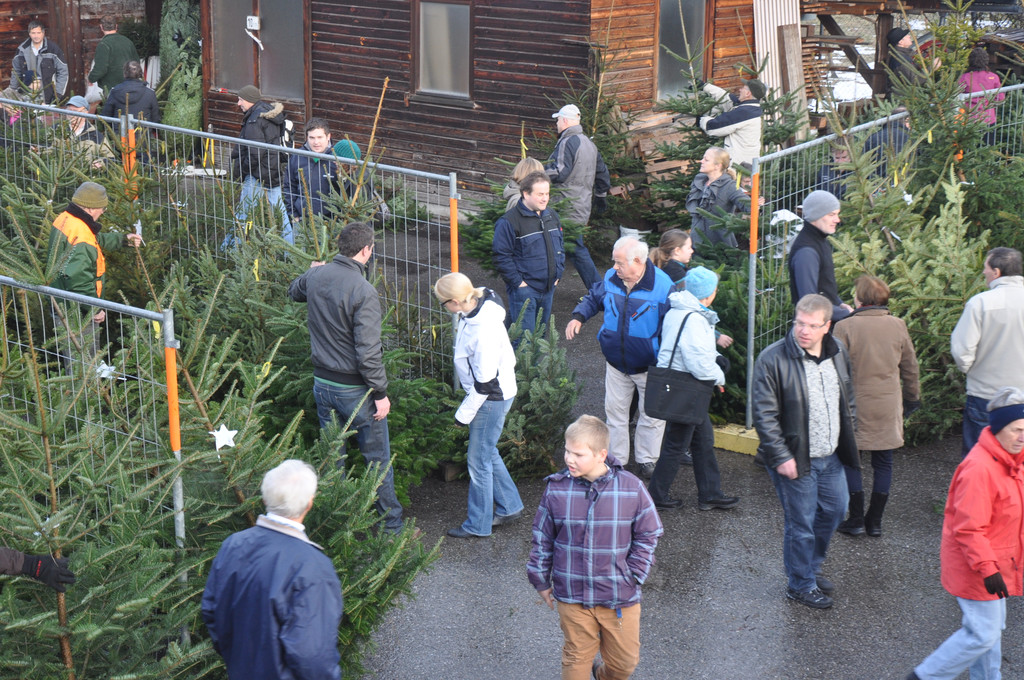 DSC_0008_JPG-1356258617