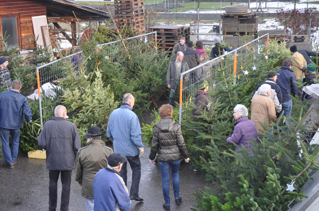 DSC_0010_JPG-1356258688