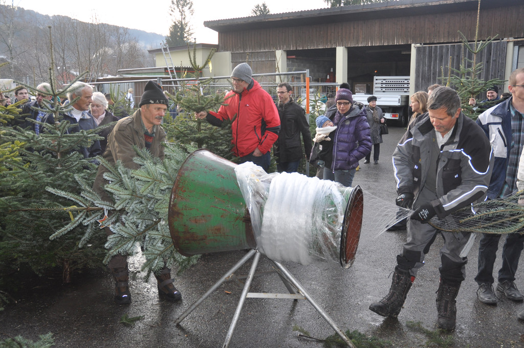 DSC_0021_JPG-1356259073