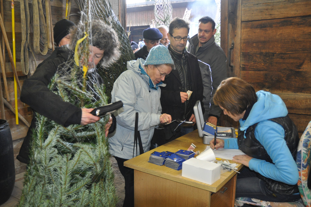 DSC_0032_JPG-1356259458