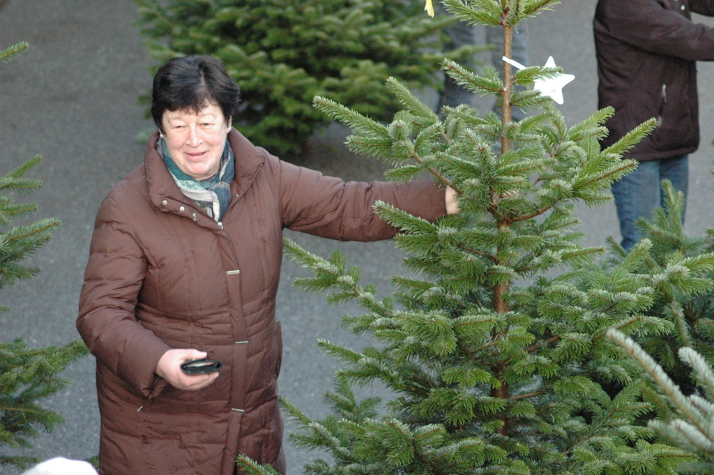 DSC_8105_JPG-1356259925