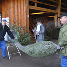 Christbaumverkauf Weiler
