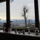 IMG_9403 _Large__jpg-1356281456