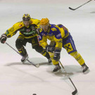 file681v8fqdxzq17ht5vfz0_jpg-1356297086