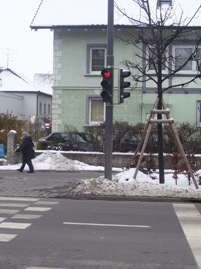 100_8758.jpg