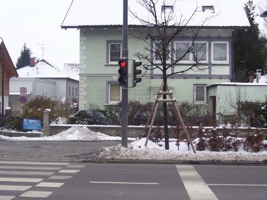 100_8757.jpg