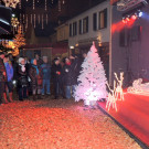 DSCN2335_JPG-1356305939