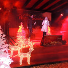 DSCN2339_JPG-1356305953