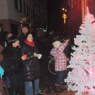 DSCN2341_JPG-1356305961