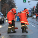 normal_23122012vustleongardde01001aktivnews_15.JPG