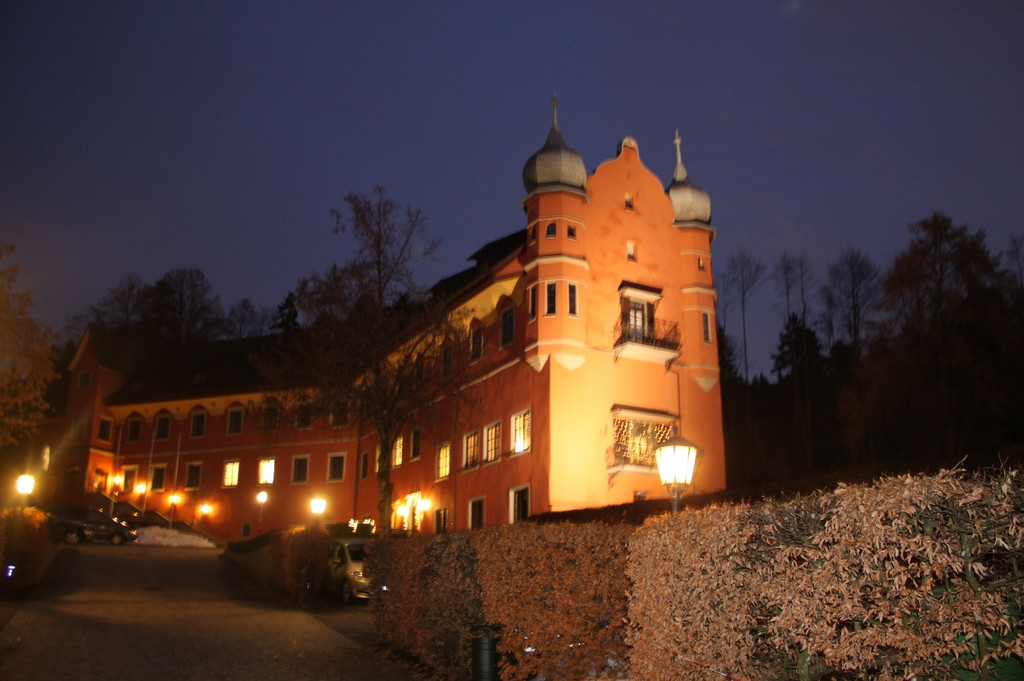 Schloss Hofener Advent 2012 _8__jpg-1356346219