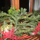 Schloss Hofener Advent 2012 _17__jpg-1356346265