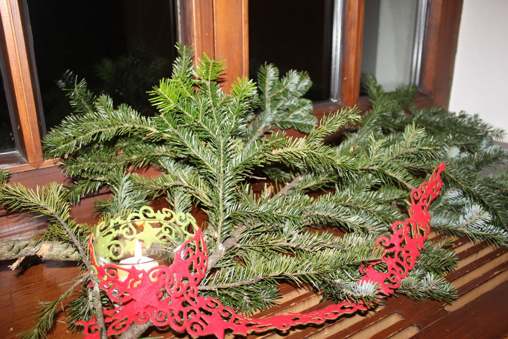 Schloss Hofener Advent 2012 _17__jpg-1356346265