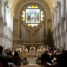 IBD0210-20121224.jpg
