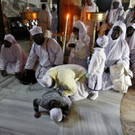 DAB0530-20121224.jpg