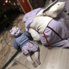 IBD0081-20121224.jpg
