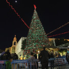 DAB1021-20121223.jpg