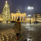 DAB0905-20121223.jpg
