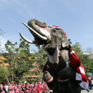 IBD0034-20121224.jpg