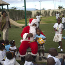 DAB1383-20121223.jpg