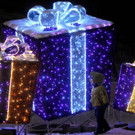 DAB1061-20121223.jpg