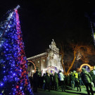 IBD0216-20121224.jpg