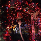 DAB0421-20121222.jpg