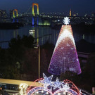 DAB0463-20121222.jpg