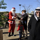 DAB0510-20121223.jpg