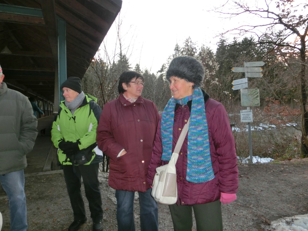 Waldweihnacht des Seniorenbundes am 19_12_2012 018.JPG