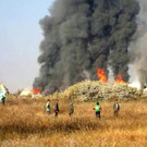 IBD0108-20121225.jpg