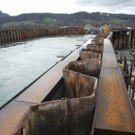 DSCN8863_JPG-1356517040