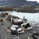 DSCN8866_JPG-1356517091