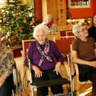 DSC07851_JPG-1356549348