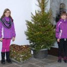 _c_ Gerhard Scopoli - Advent Berger Hof - 014.jpg