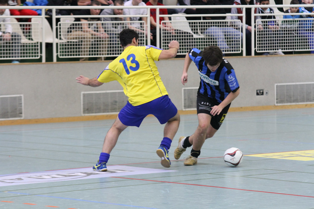 IMG_4861_jpg-1356556423