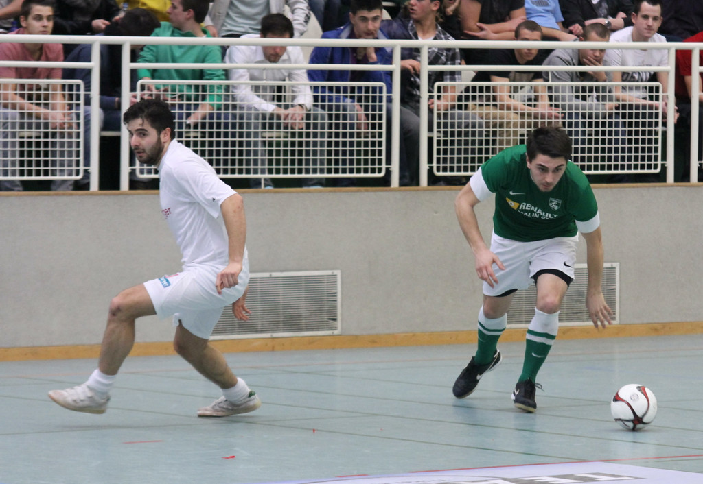 IMG_4941_jpg-1356556727