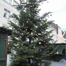 DSCN8938_JPG-1356601153