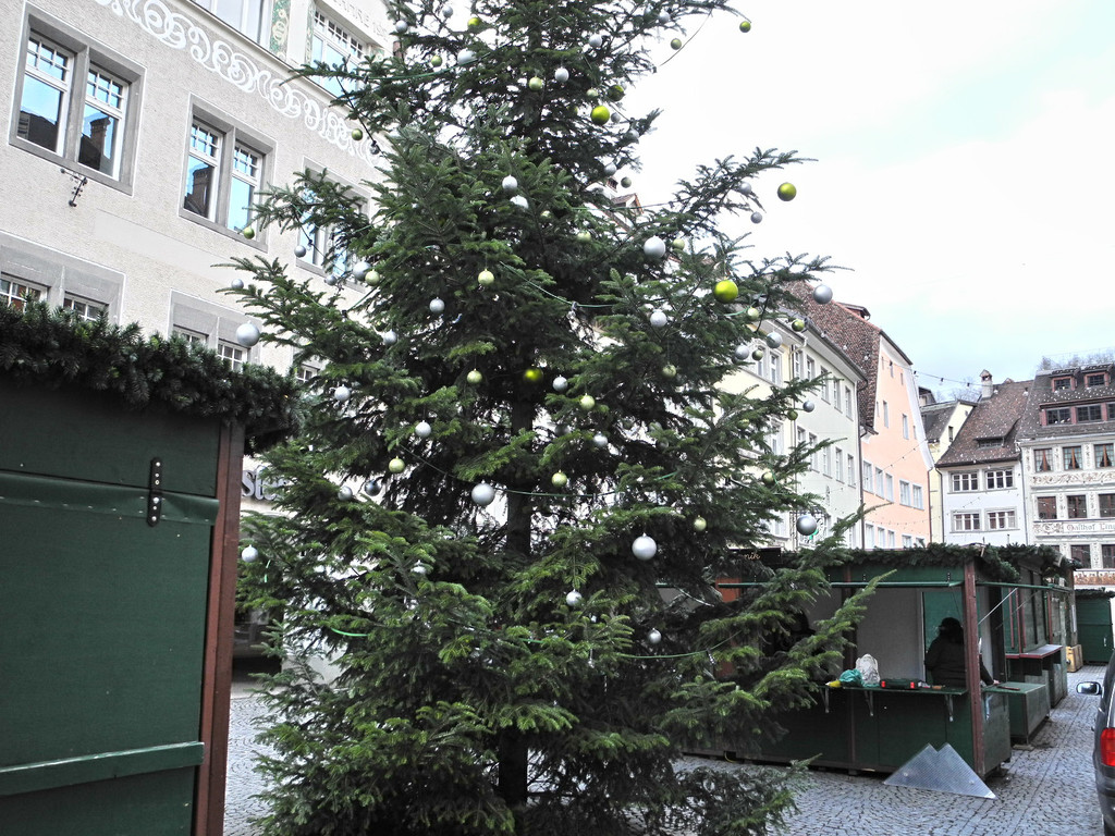 DSCN8938_JPG-1356601153