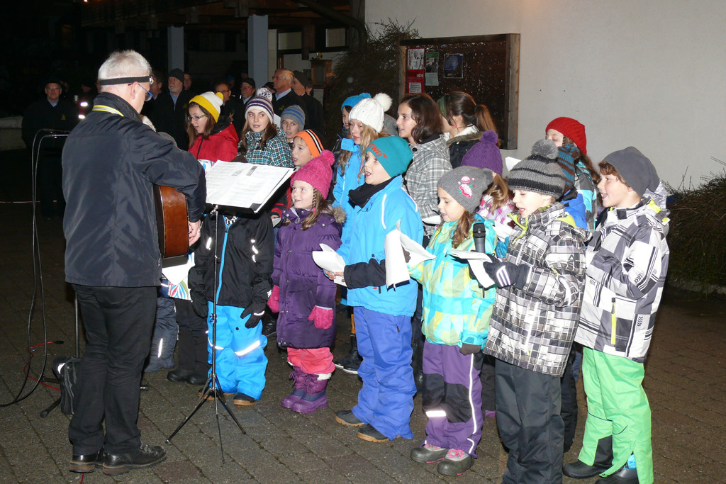 P1100152_jpg-1356613896