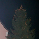 P1100158_jpg-1356613944