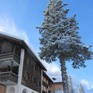 IMG_0378_JPG-1356626899