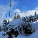 IMG_0379_JPG-1356626928