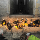 DSCN0123_JPG-1356682227